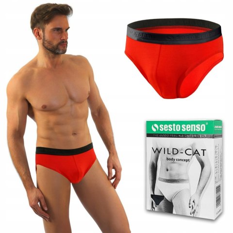 Slipy męskie SESTO SENSO WILD CAT - M Slipy męskie SESTO SENSO WILD CAT - M