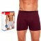 Bokserki CORNETTE AUTHENTIC BOXER claret - M