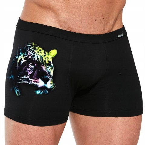 Bokserki męskie szorty CORNETTE TATTOO 219 - XXL Bokserki męskie szorty CORNETTE TATTOO 219 - XXL