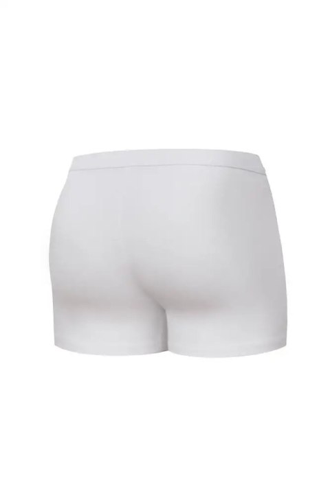 Bokserki CORNETTE AUTHENTIC MINI grafit M Bokserki CORNETTE AUTHENTIC MINI grafit M
