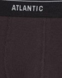 SZORTY ATLANTIC 3MH-179 JZ23 L grafit Atlantic