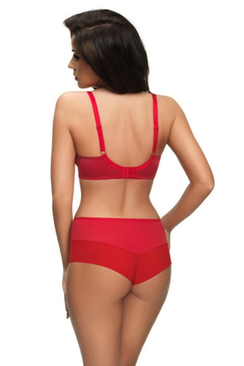 GORSENIA BRAZYLIANY PARADISE K498 CZERWONE GORSENIA BRAZYLIANY PARADISE K498 CZERWONE