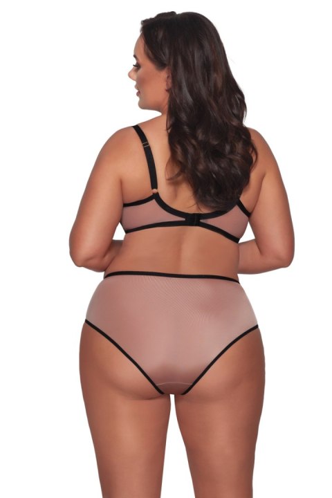 AVA FIGI AV 2092 LEOPARD AVA FIGI AV 2092 LEOPARD