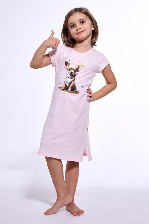 CORNETTE KOSZULA GIRL KIDS KR CHIHUAHUA 2 CORNETTE KOSZULA GIRL KIDS KR CHIHUAHUA 2