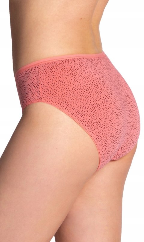 FIGI damskie BIKINI 3 PARY majtki bawełniane z nadrukiem LAMA 127BI-30 XXL