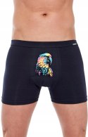Bokserki męskie z NADRUKIEM szorty bawełniane CORNETTE TATTOO 231 - XL Bokserki męskie z NADRUKIEM szorty bawełniane CORNETTE TATTOO 231 - XL