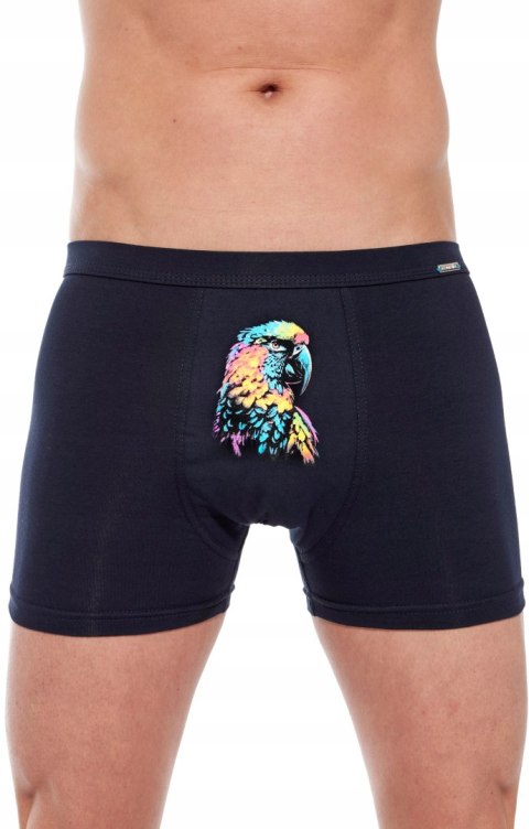 Bokserki męskie z NADRUKIEM szorty bawełniane CORNETTE TATTOO 231 - XL Bokserki męskie z NADRUKIEM szorty bawełniane CORNETTE TATTOO 231 - XL