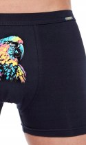 Bokserki męskie z NADRUKIEM szorty bawełniane CORNETTE TATTOO 231 - XL Bokserki męskie z NADRUKIEM szorty bawełniane CORNETTE TATTOO 231 - XL