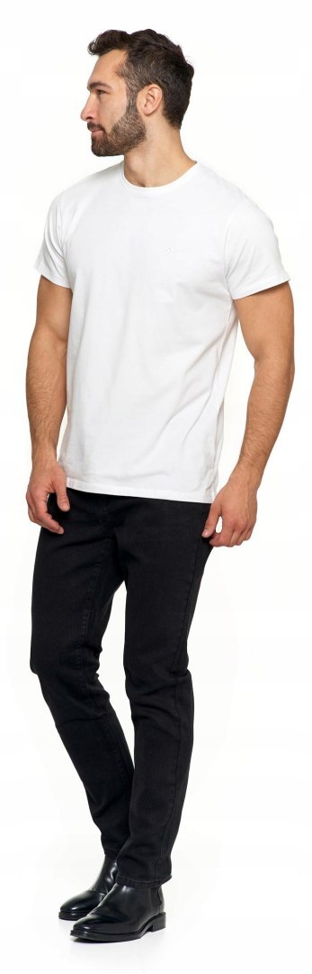 Koszulka męska bawełna CZESANA t-shirt MORAJ - XL Koszulka męska bawełna CZESANA t-shirt MORAJ - XL