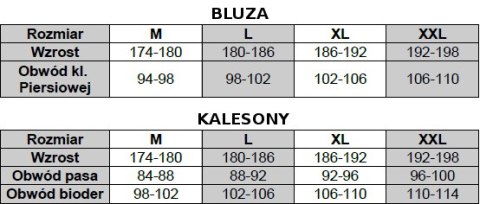 Bielizna TERMOAKTYWNA HENDERSON NORDIC komplet rM