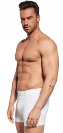 Bokserki męskie bawełniane GATTA COTTON BOXER - XXL Bokserki męskie bawełniane GATTA COTTON BOXER - XXL