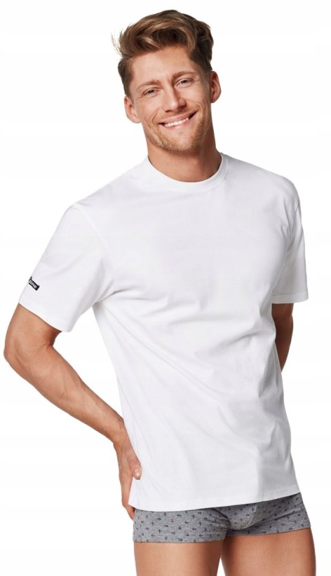 Koszulka męska t-shirt HENDERSON T-LINE - L