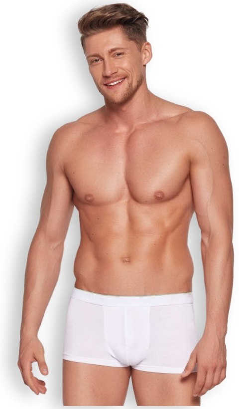 HENDERSON BOKSERKI męskie GREEN LINE bambus - XL HENDERSON BOKSERKI męskie GREEN LINE bambus - XL