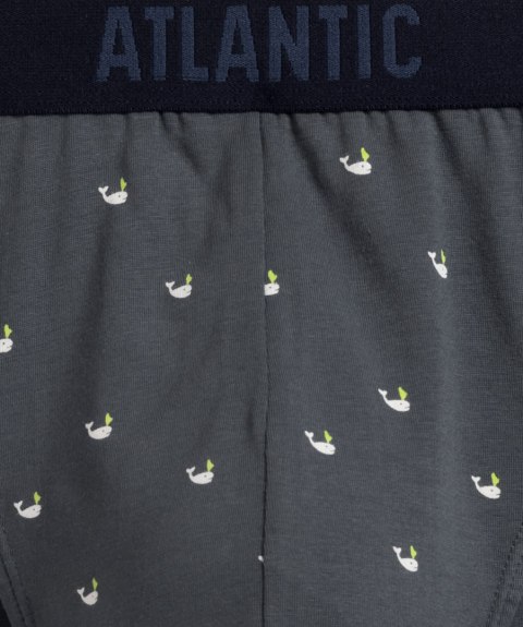 SLIPY ATLANTIC 3MP-158 WL24 NIE/GRA/GRF /M Atlantic SLIPY ATLANTIC 3MP-158 WL24 NIE/GRA/GRF /M Atlantic