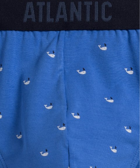 SLIPY ATLANTIC 3MP-158 WL24 NIE/GRA/GRF /M Atlantic SLIPY ATLANTIC 3MP-158 WL24 NIE/GRA/GRF /M Atlantic