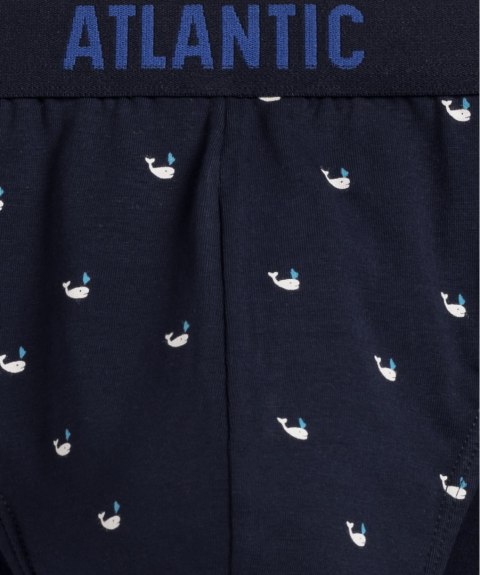 SLIPY ATLANTIC 3MP-158 WL24 GRA/NIE/GRA /M Atlantic SLIPY ATLANTIC 3MP-158 WL24 GRA/NIE/GRA /M Atlantic