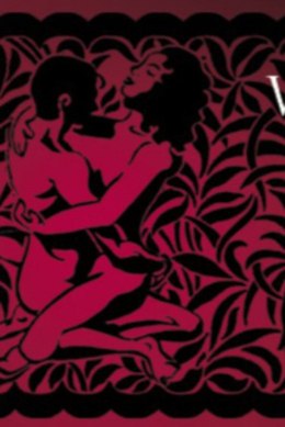 GATTA CALZE ARS AMANDI-01