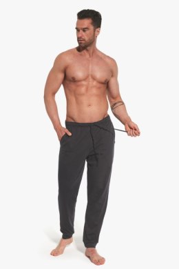 CORNETTE SPODNIE MĘSKIE 331 W/26